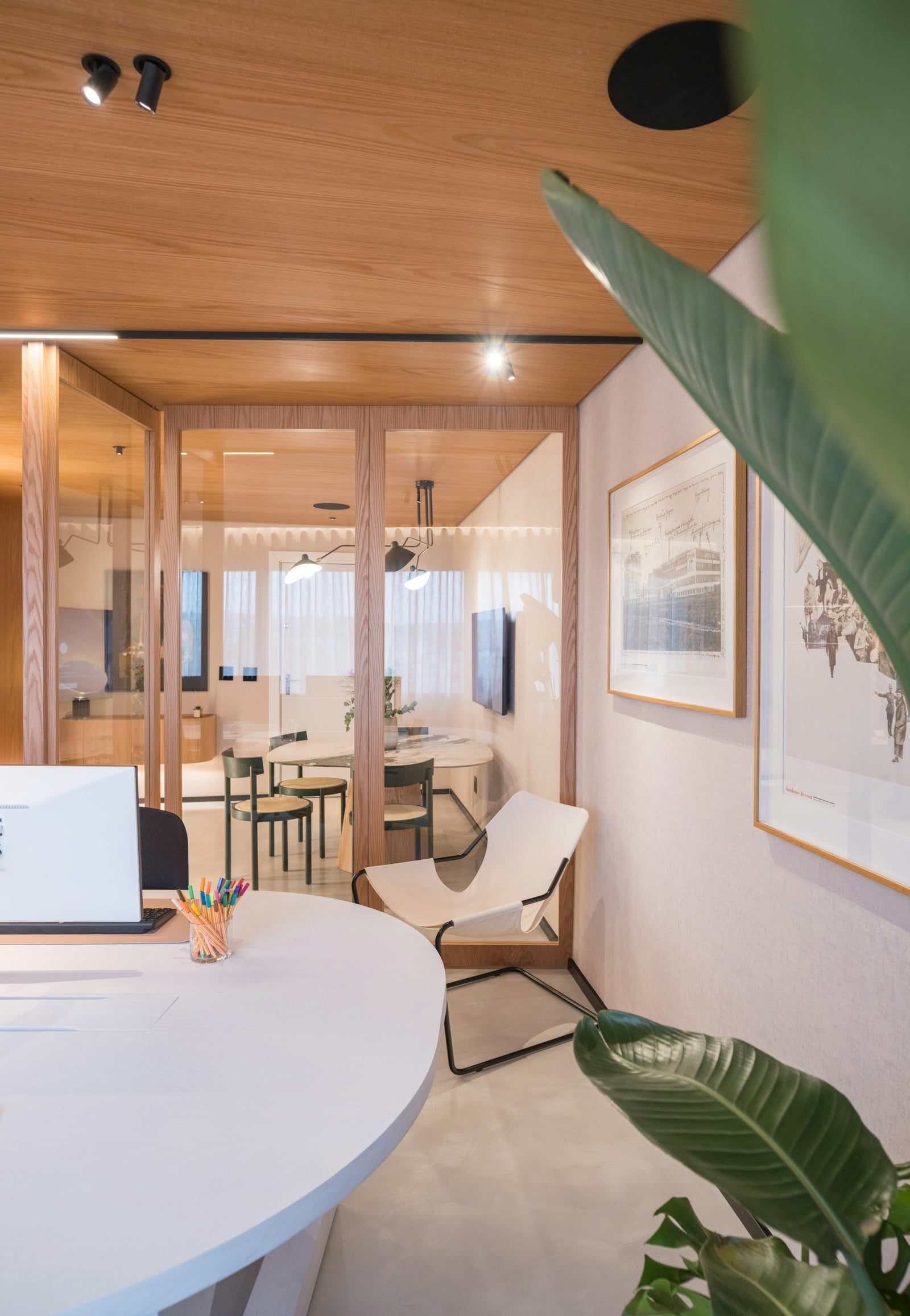 Contemporary office with a warm timber ceiling, glass partitions, plants and a sculptural lounge chair